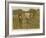 The Boy That Drove the Sheep-William Weekes-Framed Giclee Print