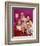 The Brady Bunch-null-Framed Photo