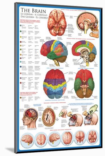 The Brain-null-Mounted Premium Giclee Print