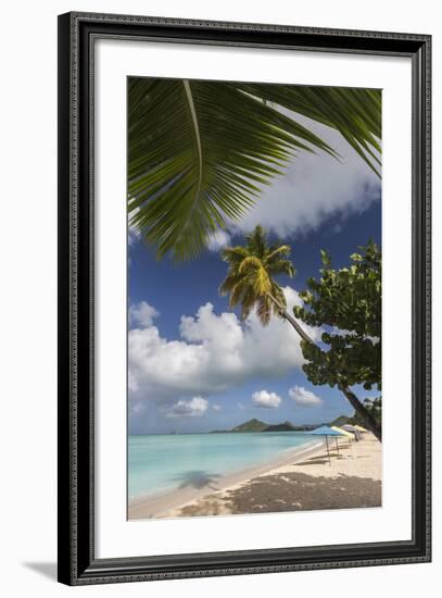 The Branches of the Palm Trees Create Shade on the Beach of Valley Church-Roberto Moiola-Framed Photographic Print