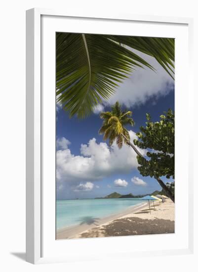 The Branches of the Palm Trees Create Shade on the Beach of Valley Church-Roberto Moiola-Framed Photographic Print