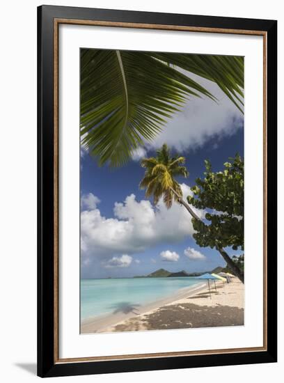 The Branches of the Palm Trees Create Shade on the Beach of Valley Church-Roberto Moiola-Framed Photographic Print