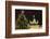 The Brandenburg Gate and Christmas Tree, Berlin, Germany, Europe-Miles Ertman-Framed Photographic Print