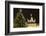 The Brandenburg Gate and Christmas Tree, Berlin, Germany, Europe-Miles Ertman-Framed Photographic Print