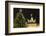 The Brandenburg Gate and Christmas Tree, Berlin, Germany, Europe-Miles Ertman-Framed Photographic Print