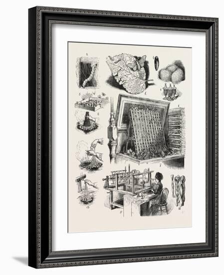 The Brazilian Silk Worm Exhibit-null-Framed Giclee Print