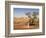 The Breakaways, Painted Desert, Coober Peedy, South Australia, Australia, Pacific-Tony Waltham-Framed Photographic Print