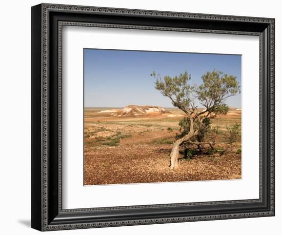 The Breakaways, Painted Desert, Coober Peedy, South Australia, Australia, Pacific-Tony Waltham-Framed Photographic Print