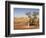 The Breakaways, Painted Desert, Coober Peedy, South Australia, Australia, Pacific-Tony Waltham-Framed Photographic Print