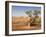 The Breakaways, Painted Desert, Coober Peedy, South Australia, Australia, Pacific-Tony Waltham-Framed Photographic Print