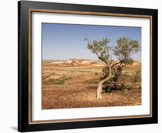The Breakaways, Painted Desert, Coober Peedy, South Australia, Australia, Pacific-Tony Waltham-Framed Photographic Print