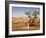 The Breakaways, Painted Desert, Coober Peedy, South Australia, Australia, Pacific-Tony Waltham-Framed Photographic Print