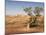 The Breakaways, Painted Desert, Coober Peedy, South Australia, Australia, Pacific-Tony Waltham-Mounted Photographic Print