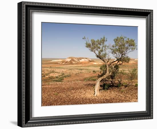 The Breakaways, Painted Desert, Coober Peedy, South Australia, Australia, Pacific-Tony Waltham-Framed Photographic Print