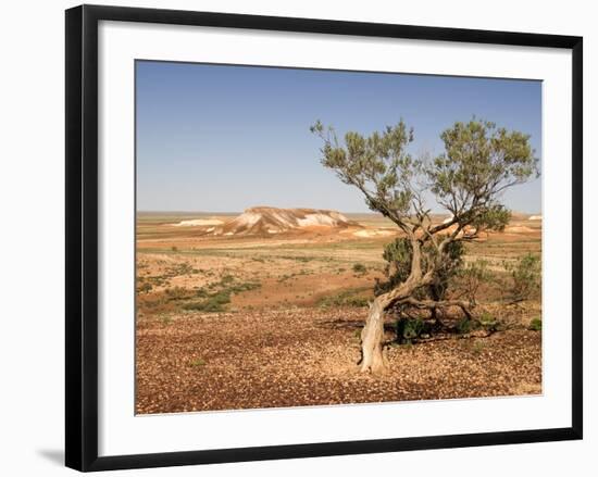 The Breakaways, Painted Desert, Coober Peedy, South Australia, Australia, Pacific-Tony Waltham-Framed Photographic Print