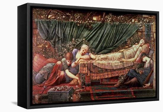 The Briar Rose' Series, 4: the Sleeping Beauty, 1870-90-Edward Burne-Jones-Framed Premier Image Canvas