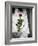 The Bride-Nathan Wright-Framed Photographic Print