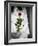 The Bride-Nathan Wright-Framed Photographic Print