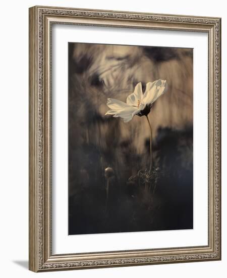 The Bride-Fabien BRAVIN-Framed Giclee Print