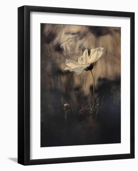 The Bride-Fabien BRAVIN-Framed Giclee Print