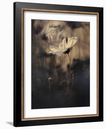 The Bride-Fabien BRAVIN-Framed Giclee Print