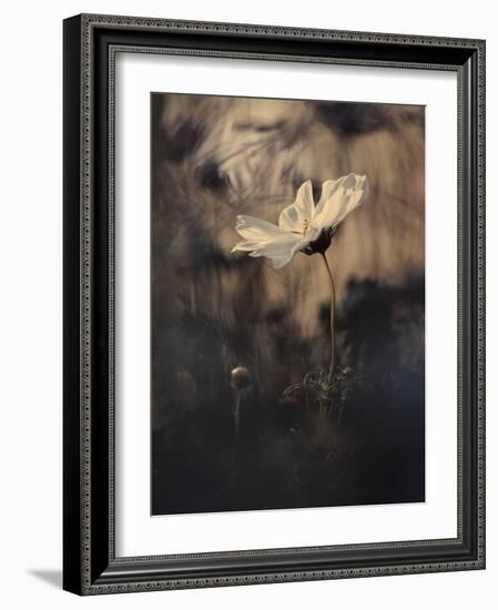 The Bride-Fabien BRAVIN-Framed Giclee Print