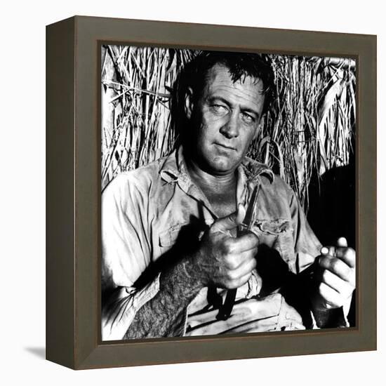 The Bridge on the River Kwai, William Holden, 1957-null-Framed Stretched Canvas