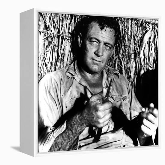 The Bridge on the River Kwai, William Holden, 1957-null-Framed Stretched Canvas
