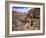 The Bright Angel Trail, Beneath the South Rim, Grand Canyon National Park, Arizona, USA-Ruth Tomlinson-Framed Photographic Print