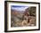 The Bright Angel Trail, Beneath the South Rim, Grand Canyon National Park, Arizona, USA-Ruth Tomlinson-Framed Photographic Print