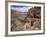 The Bright Angel Trail, Beneath the South Rim, Grand Canyon National Park, Arizona, USA-Ruth Tomlinson-Framed Photographic Print