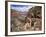 The Bright Angel Trail, Beneath the South Rim, Grand Canyon National Park, Arizona, USA-Ruth Tomlinson-Framed Photographic Print