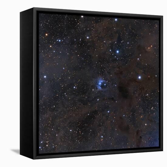 The Bright Star Vdb 16, Dust and Nebulosity in the Constellation Aries-null-Framed Premier Image Canvas