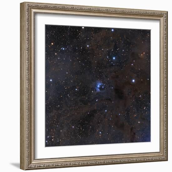 The Bright Star Vdb 16, Dust and Nebulosity in the Constellation Aries-null-Framed Photographic Print