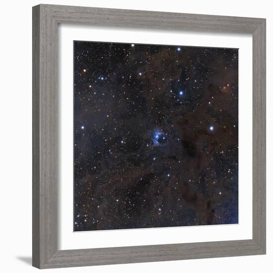 The Bright Star Vdb 16, Dust and Nebulosity in the Constellation Aries-null-Framed Photographic Print