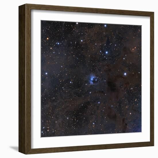 The Bright Star Vdb 16, Dust and Nebulosity in the Constellation Aries-null-Framed Photographic Print