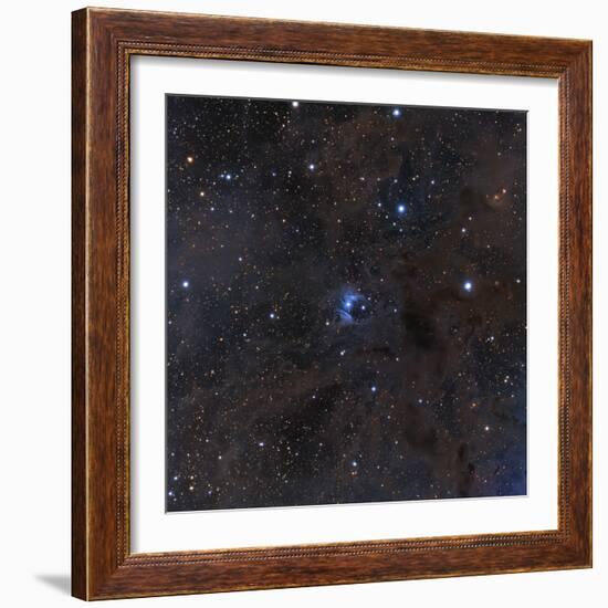 The Bright Star Vdb 16, Dust and Nebulosity in the Constellation Aries-null-Framed Photographic Print