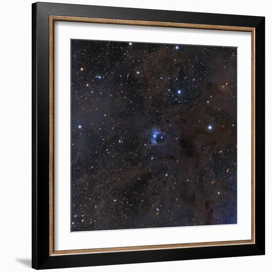 The Bright Star Vdb 16, Dust and Nebulosity in the Constellation Aries-null-Framed Photographic Print