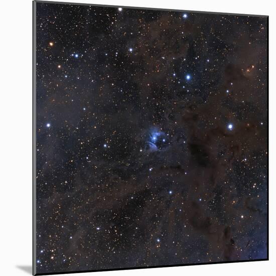 The Bright Star Vdb 16, Dust and Nebulosity in the Constellation Aries-null-Mounted Photographic Print