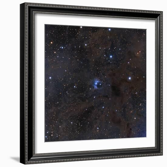 The Bright Star Vdb 16, Dust and Nebulosity in the Constellation Aries-null-Framed Photographic Print