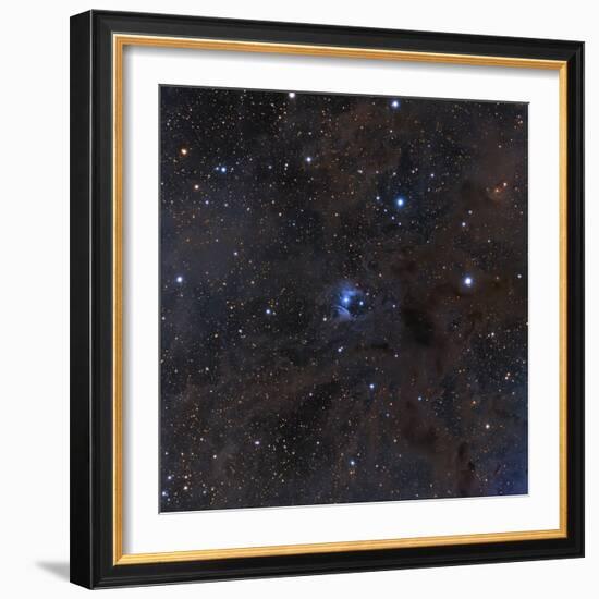 The Bright Star Vdb 16, Dust and Nebulosity in the Constellation Aries-null-Framed Photographic Print