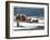 The Brighton Mail on Christmas Day, 1836-Henry Thomas Alken-Framed Giclee Print