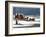 The Brighton Mail on Christmas Day, 1836-Henry Thomas Alken-Framed Giclee Print