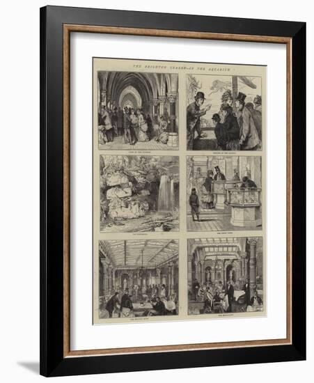 The Brighton Season, in the Aquarium-Joseph Nash-Framed Giclee Print