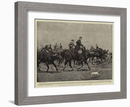 The British in Egypt, Buffalo Racing at Cairo-Frank Dadd-Framed Giclee Print