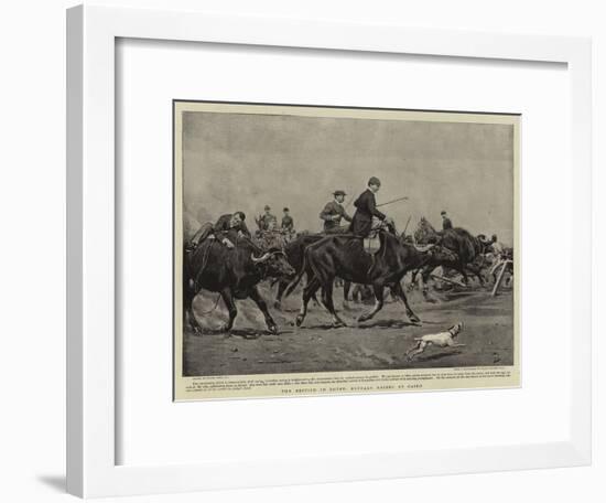 The British in Egypt, Buffalo Racing at Cairo-Frank Dadd-Framed Giclee Print