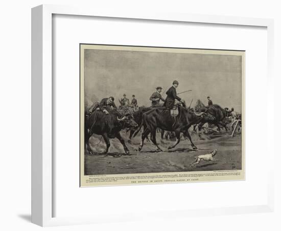 The British in Egypt, Buffalo Racing at Cairo-Frank Dadd-Framed Giclee Print