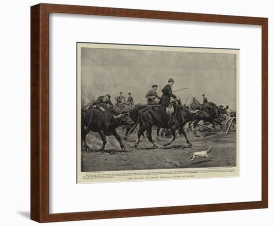 The British in Egypt, Buffalo Racing at Cairo-Frank Dadd-Framed Giclee Print