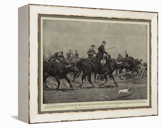 The British in Egypt, Buffalo Racing at Cairo-Frank Dadd-Framed Premier Image Canvas