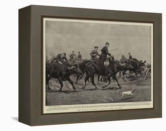 The British in Egypt, Buffalo Racing at Cairo-Frank Dadd-Framed Premier Image Canvas